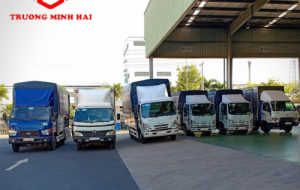 CÔNG TY TNHH TRƯỜNG PHÁT