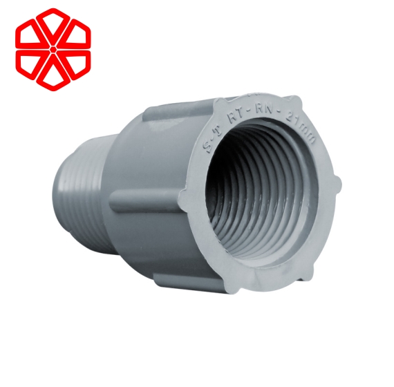 Răng Trong Răng Ngoài