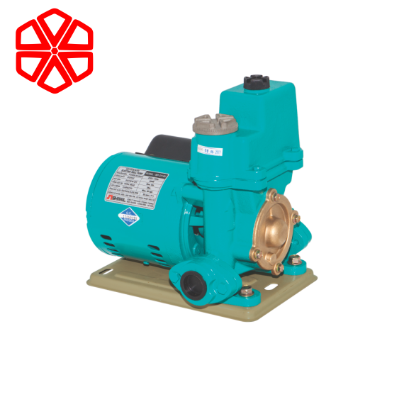 Máy Bơm Hút Chân Không Kiểu Không Tự Động  WP - 251 BE