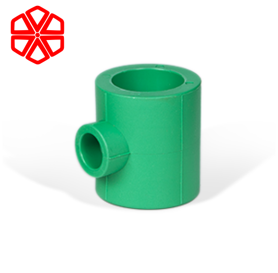 Cút T-Loại không đồng cỡ (thu nhỏ)