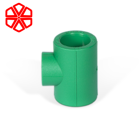 Cút T-Loại không đồng cỡ (thu nhỏ)