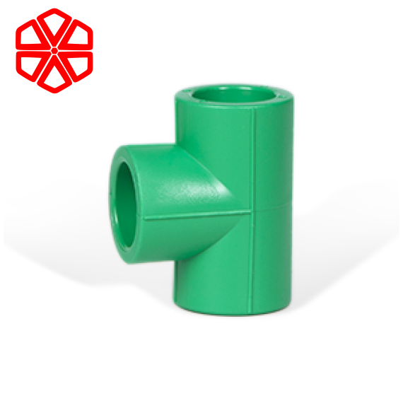 Cút T - loại đồng cỡ