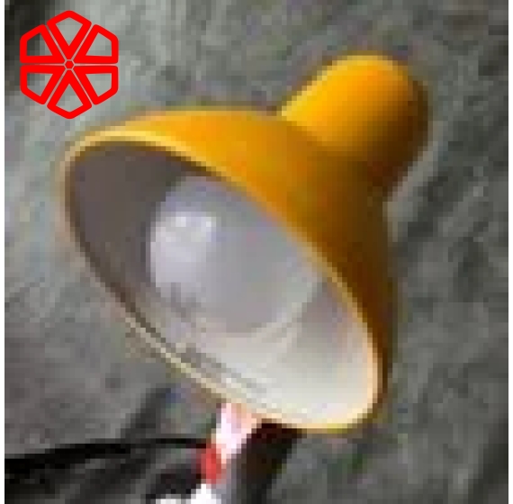  Đèn học chống cận Điện Quang ĐQ DKL04