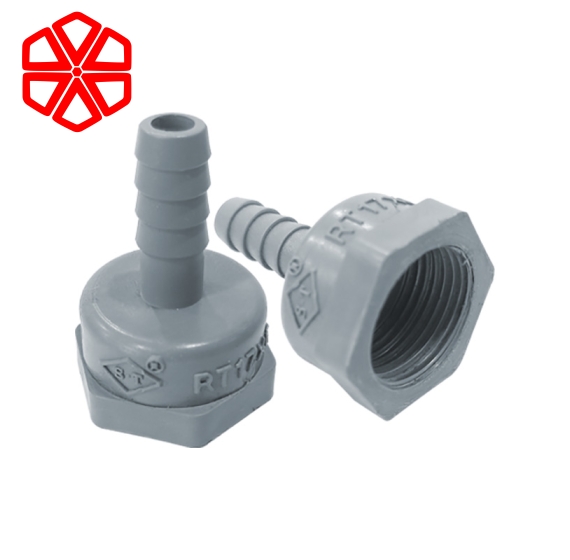 Răng Trong Ống Mềm