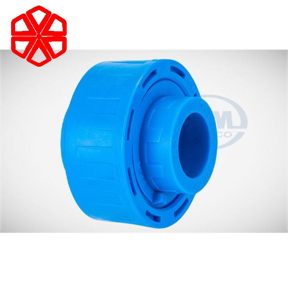 KHỚP NỐI SỐNG (RẮC - CO)