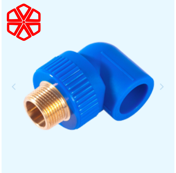 CO REN NGOÀI 90O (THAU)