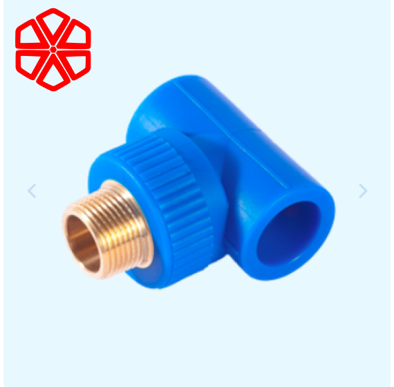 TÊ REN NGOÀI (THAU)