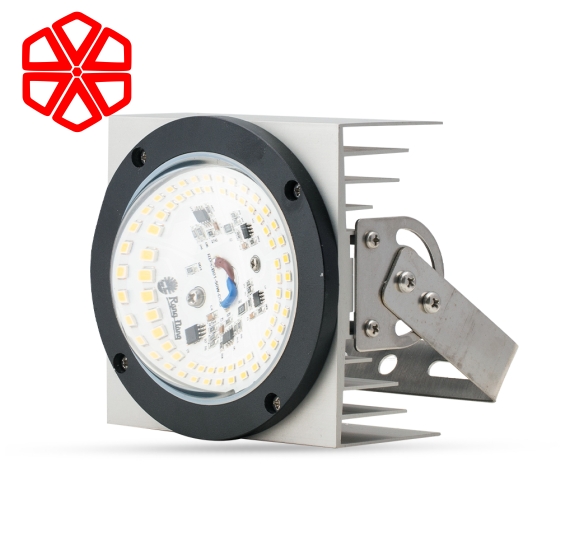 Đèn LED chiếu boong 50W