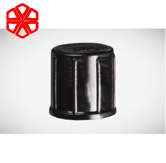 NẮP ĐẬY ỐNG PE