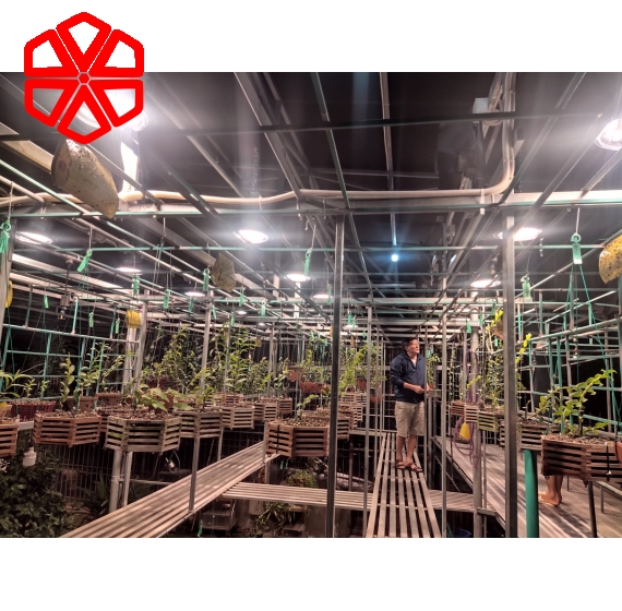 Đèn nhà kính, cây xanh trong nhà