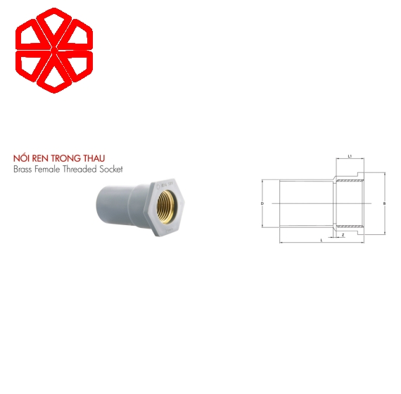 Nối PVC-U 27/ren trong thau 21 dày