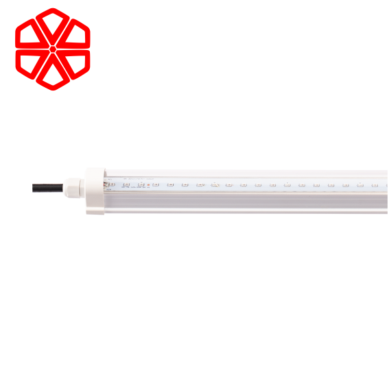 Đèn nuôi cấy mô, trồng rau