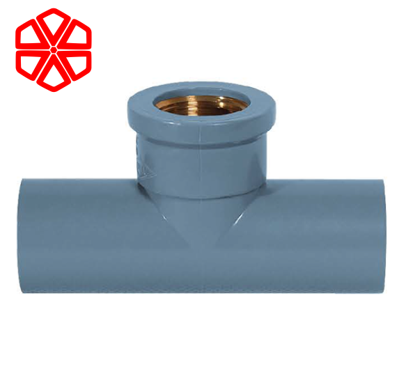 TÊ RĂNG TRONG & GIẢM (REN RỒNG)