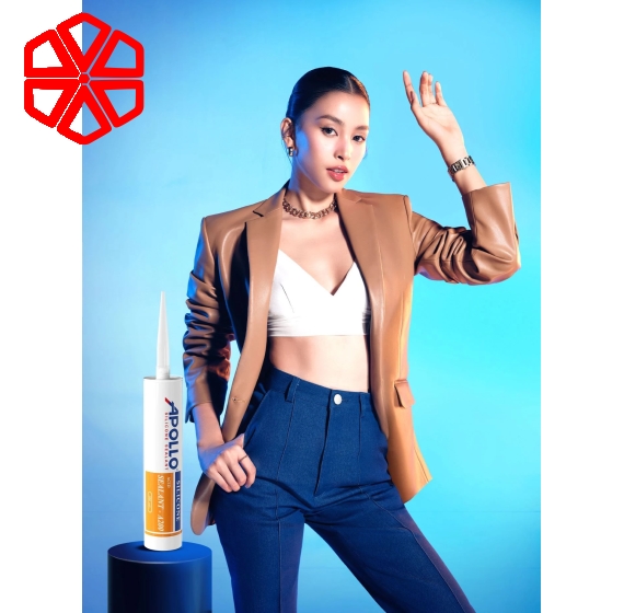 Apollo Silicone Sealant A200