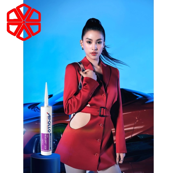 Apollo Silicone Sealant A250