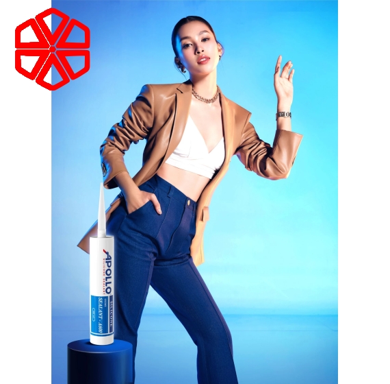  Apollo Silicone Sealant A600